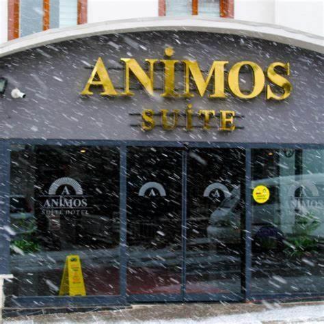 Animos Butik Otel Ankara Exterior foto